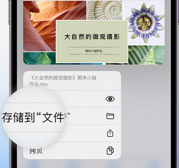 斗门apple维修中心分享iPhone文件应用中存储和找到下载文件