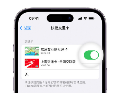 斗门apple维修点分享iPhone上更换Apple Pay快捷交通卡手绘卡面 