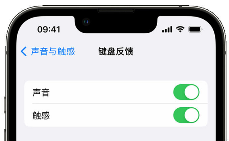 斗门苹果手机维修分享iPhone 14触感键盘使用方法 