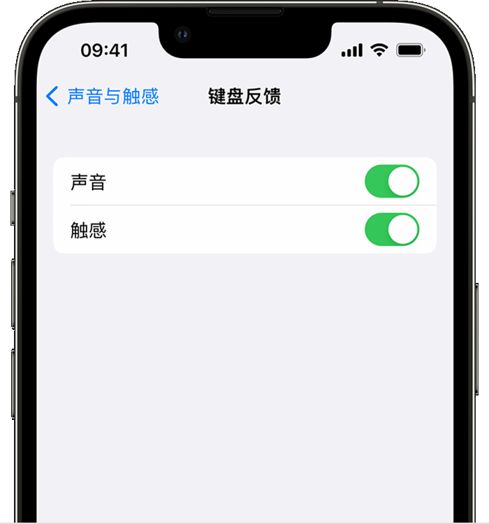 斗门苹果14维修店分享如何在 iPhone 14 机型中使用触感键盘 