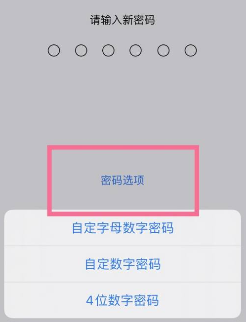 斗门苹果14维修分享iPhone 14plus设置密码的方法 