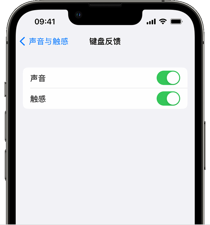 斗门苹果14维修分享iPhone 14 系列机型如何开启键盘声音或触感反馈 