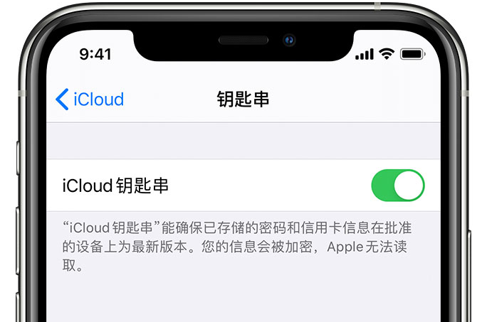 斗门苹果手机维修分享在 iPhone 上开启 iCloud 钥匙串之后会储存哪些信息 