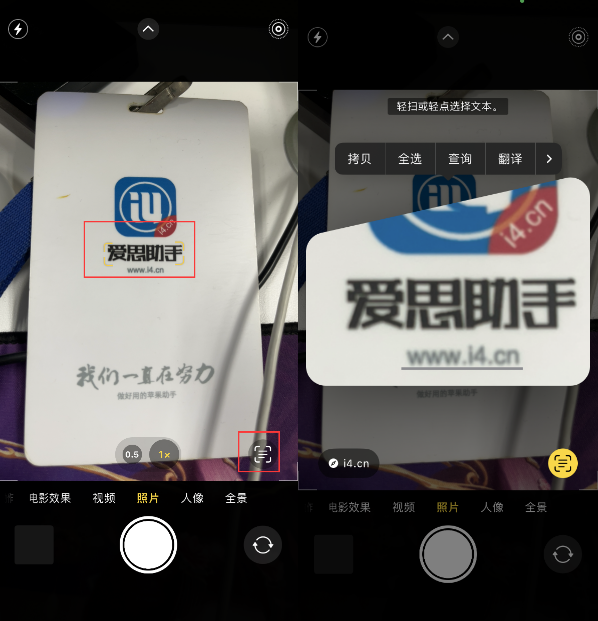 斗门苹果手机维修分享升级iOS 16后如何通过相机翻译文本 