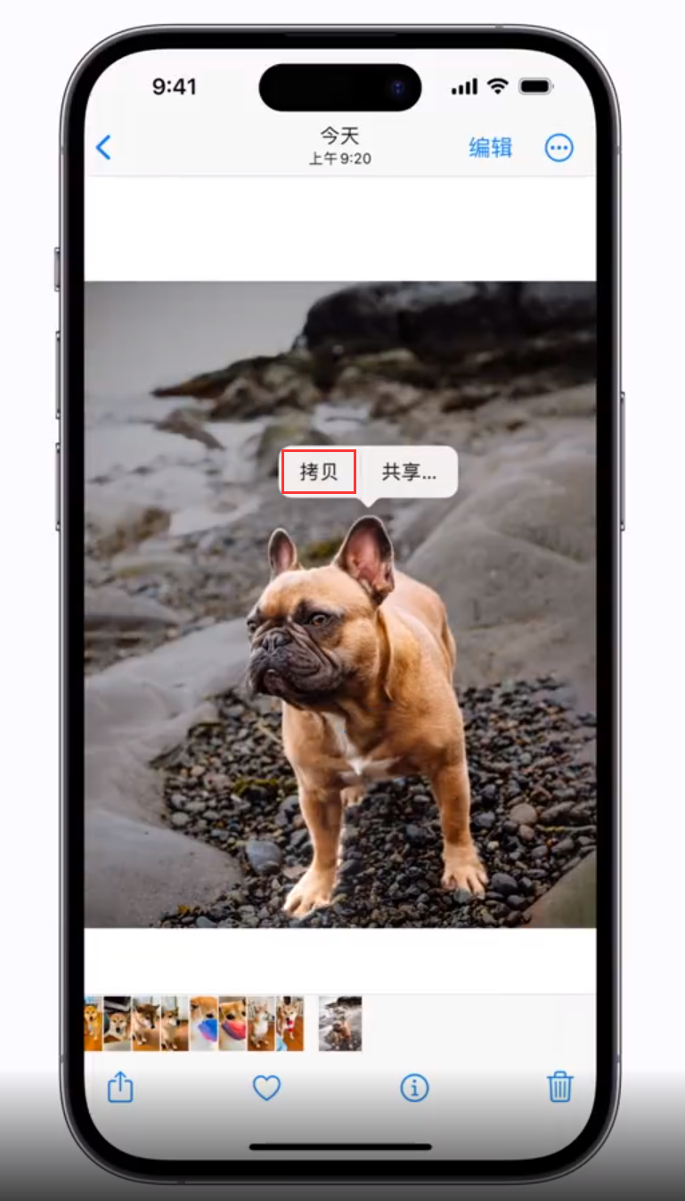 斗门苹果手机维修分享 iOS 16 自带一键抠图功能 