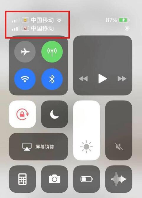 斗门苹果手机维修分享为 iPhone 12 双卡设置标签 